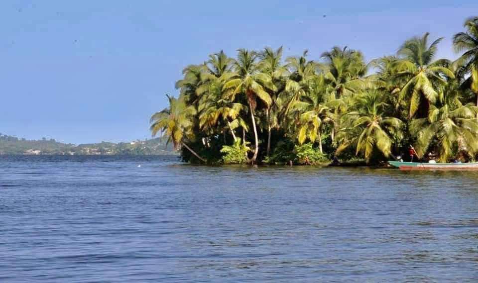 2 hectare a vendre a Lauzoua en bordures de la lagune, site très paradisiaque, lauzoua est a 150km d'Abidjan après grand lahou sur la côtière, site touristique aussi.