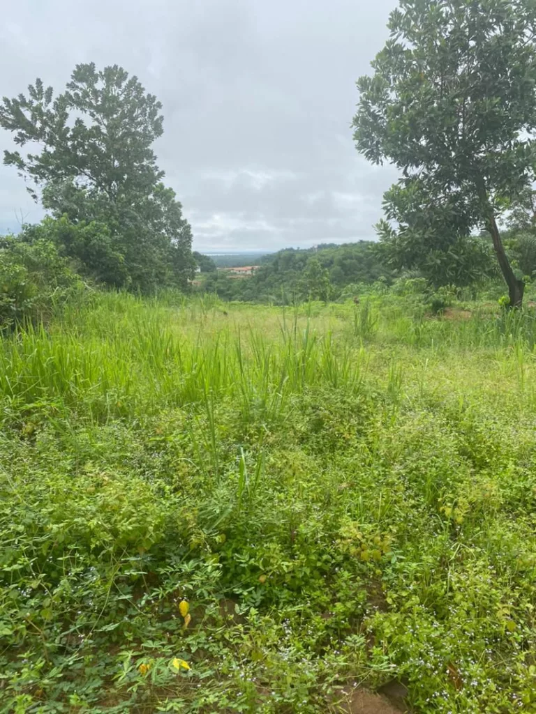 VENTE DE TERRAIN A BINGERVILLE