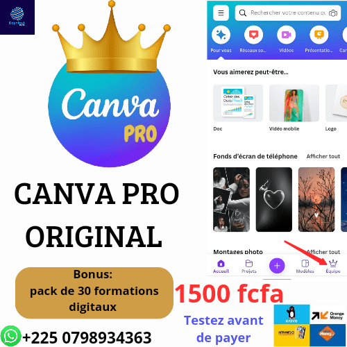 Canva pro ( version pro )